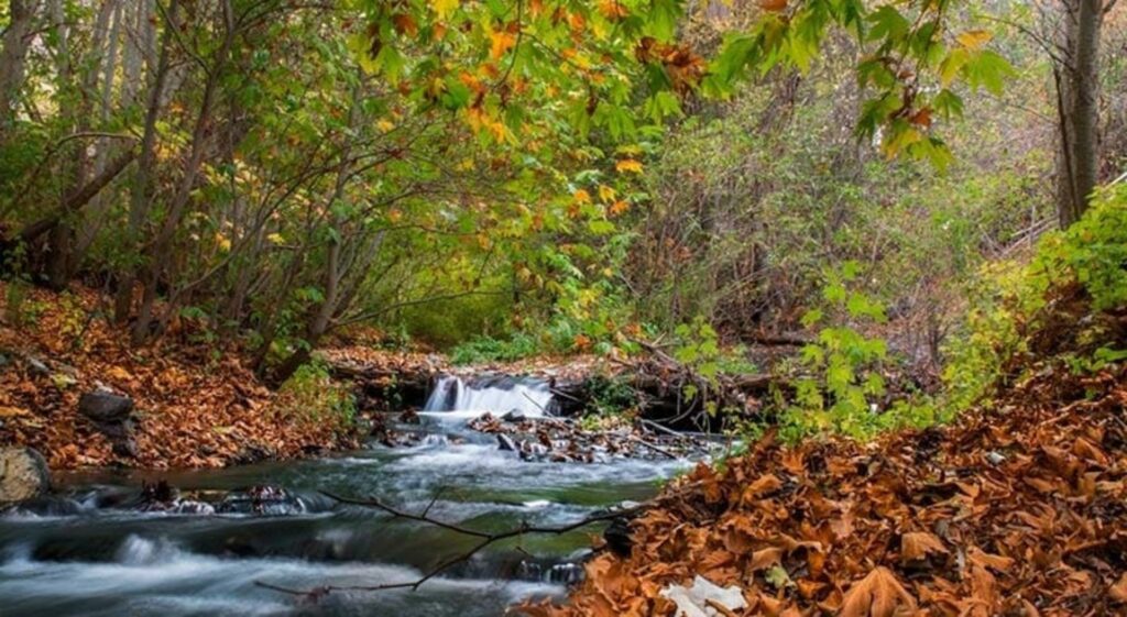 امکانات روستای کنگ طرقبه