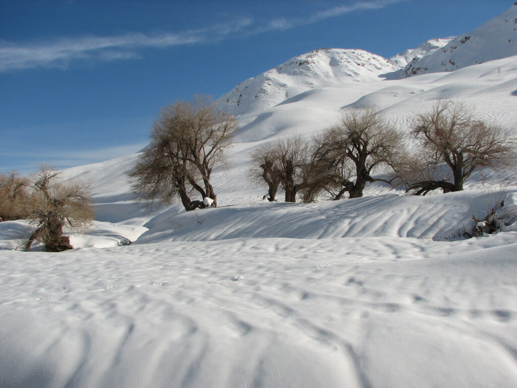 سفر زمستانی به ایران