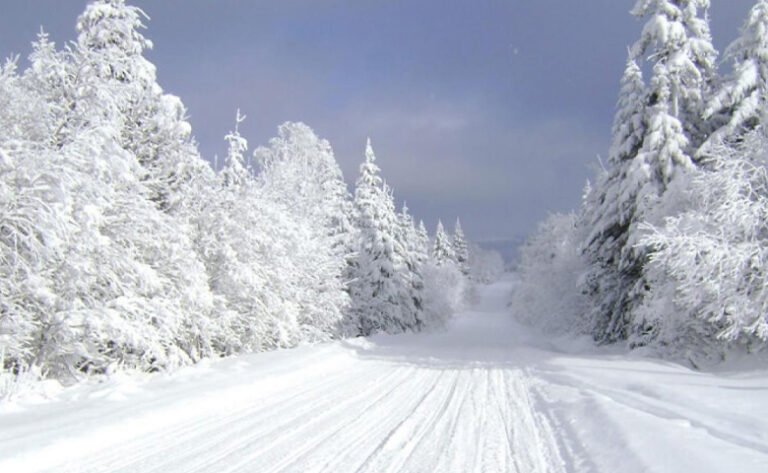 جاهای برفی شمال ایران