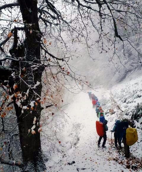 جاهای برفی شمال ایران