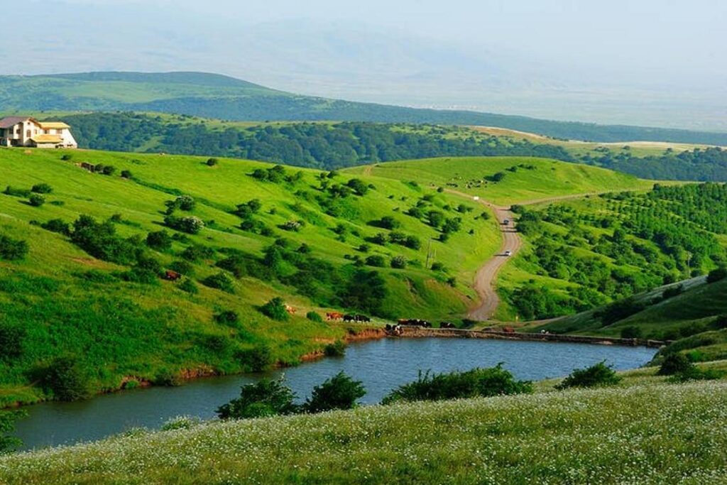 جنگل فندقلو اردبیل