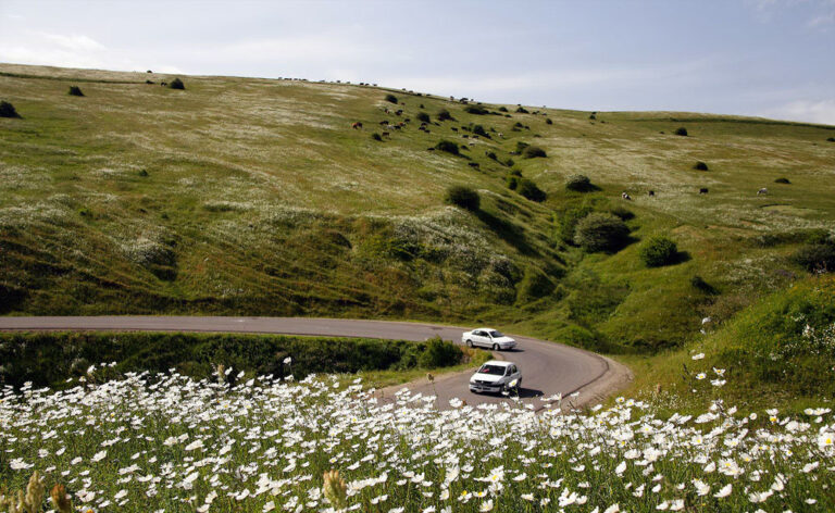 جنگل فندقلو اردبیل