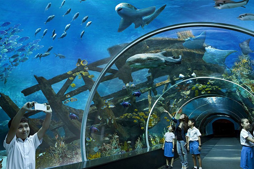 مکانهای تفریحی سرپوشیده