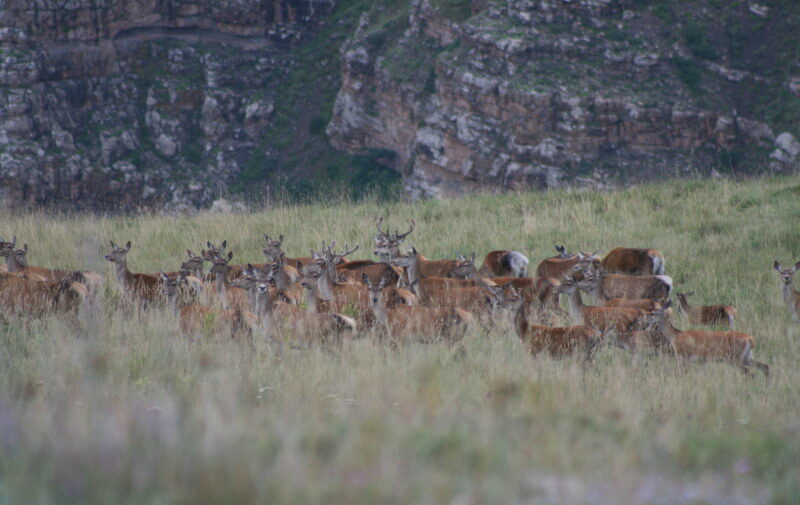 آبشار یخی هملون