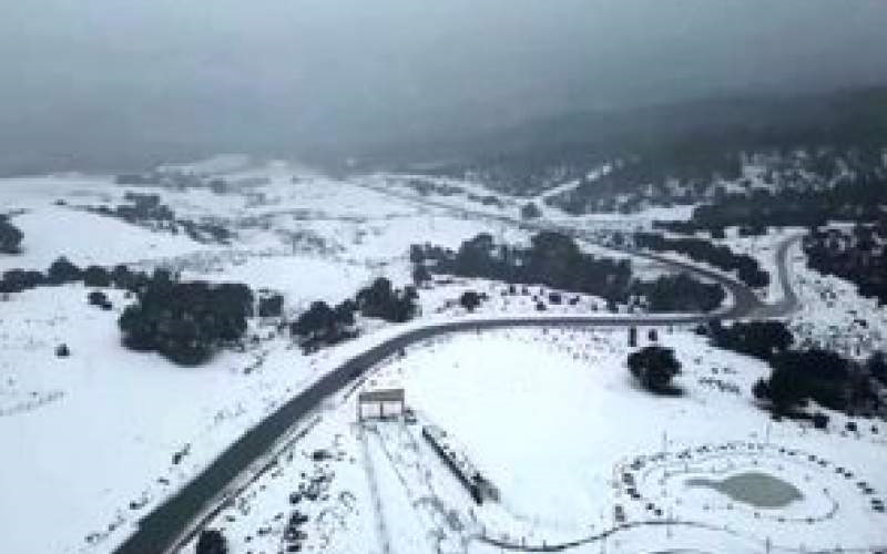 پارک جمشیدیه تهران