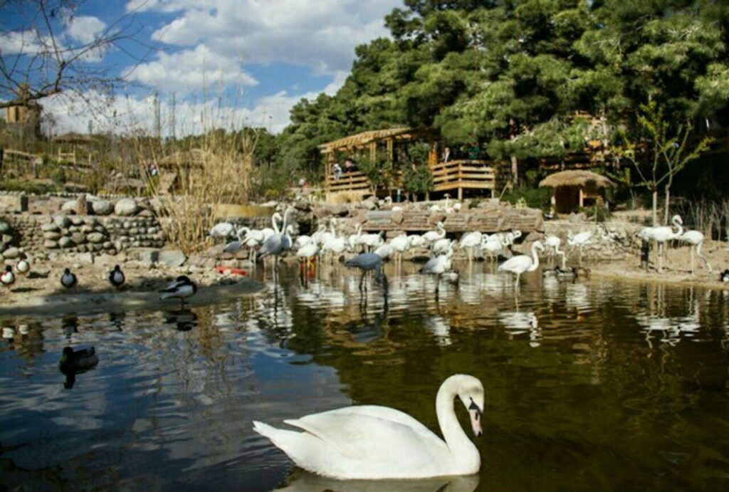 بوستان لویزان تهران کجاست