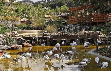 پارک لویزان گجاست؟