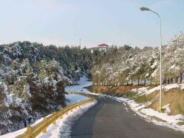 پارک لویزان در زمستان