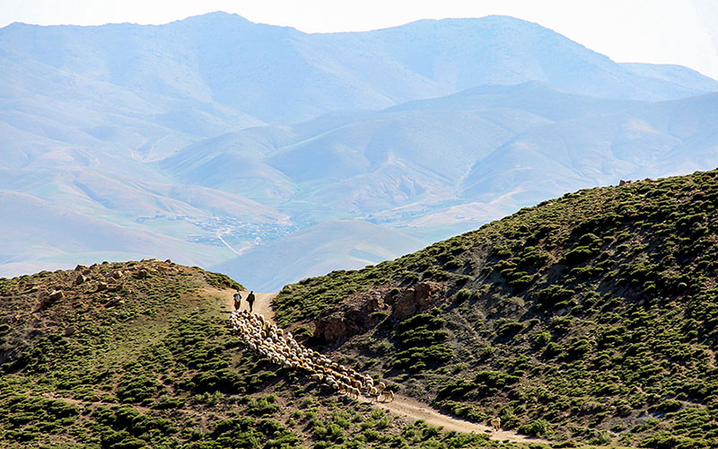 کوه بز سینا ارومیه