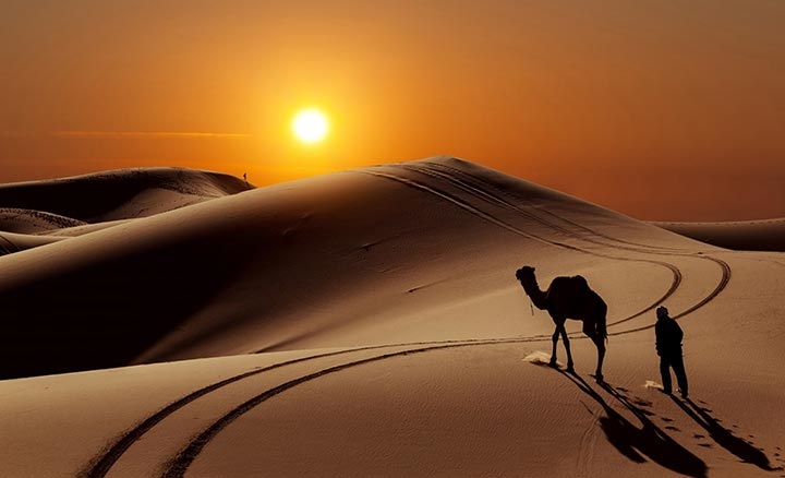 کویر کجا بریم؟