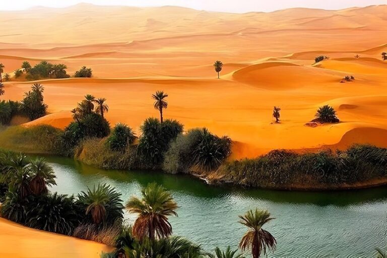 کویر زردگاه طبس