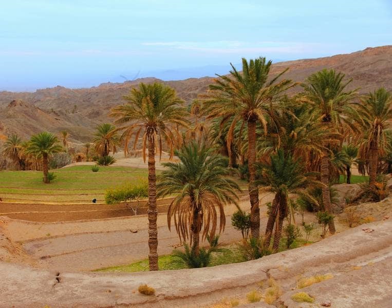 کویر زردگاه 