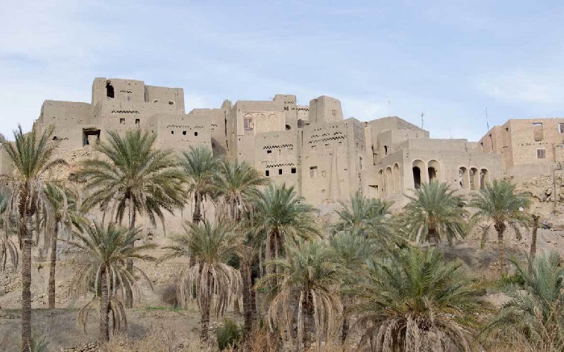 کویر سرسبز ایران